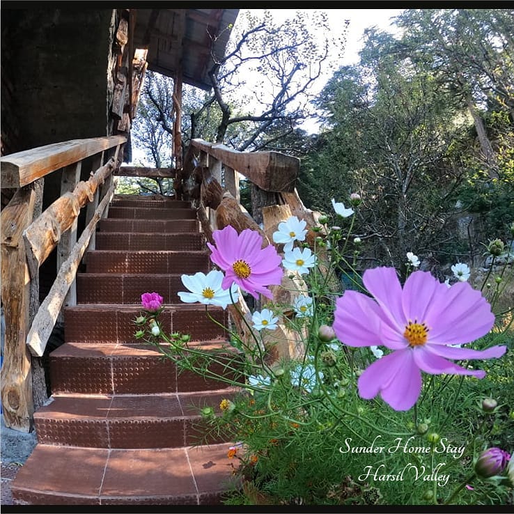 Sunder Homestay Gangotri
